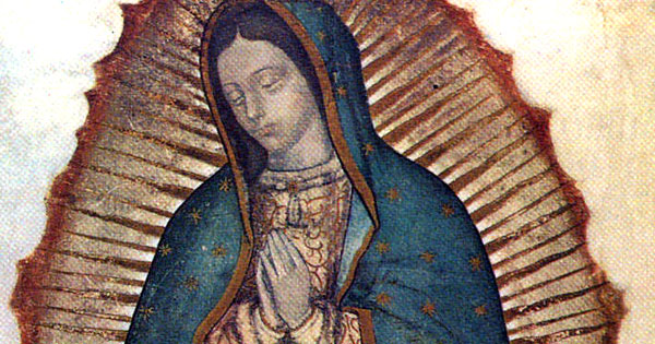 Feast Of Our Lady Of Guadalupe Dolr Org